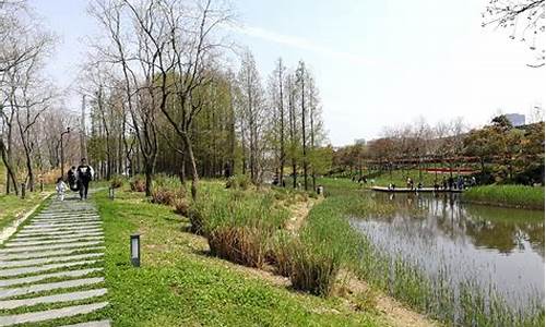 上海湿地公园推荐_上海湿地公园推荐景点