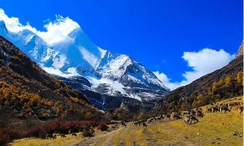 到稻城亚丁旅游攻略_到稻城亚丁旅游攻略路