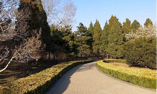 北京植物园旅游路线_北京植物园旅游路线图