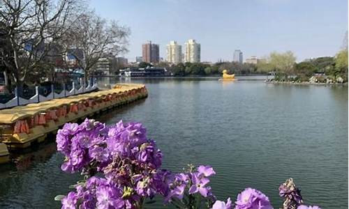 上海长风公园门票多少钱一张_长风公园免费