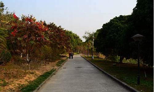 广州龙头山森林公园门票_广州龙头山森林公园门票价格