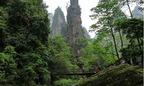 武汉到张家界旅游攻略二日游推荐_武汉到张家界旅游攻略二日游推