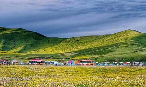 俄么塘花海景区住宿_俄么塘花海景区电话