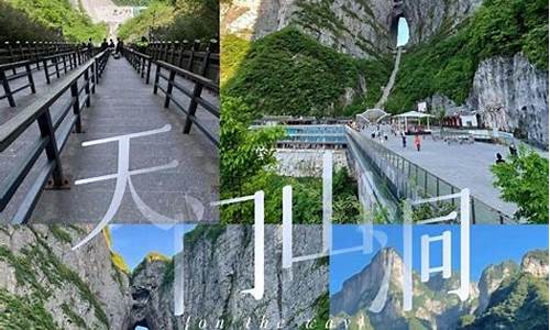 张家界旅游攻略5天4晚怎么走_张家界旅游详细攻略五天4晚