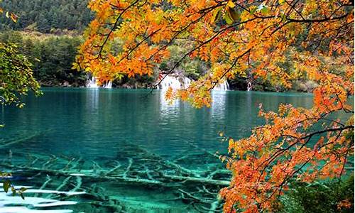 四川九寨沟旅行_四川九寨沟自由行