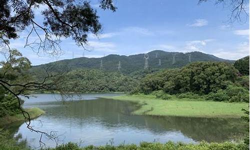 天竺山森林公园天气预报7天_天竺山森林公园天气