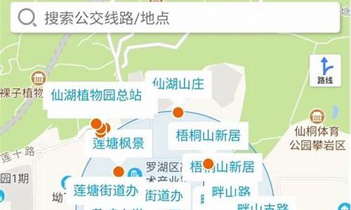 深圳公交线路查询图_深圳公交线路查询