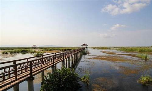 上海崇明岛旅游攻略一日游_上海崇明岛旅游攻略一日游最佳路线