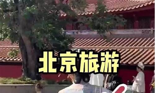 去香港一日游攻略