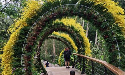 深圳仙湖植物园攻略一日游_深圳仙湖植物园攻略一日游最佳路线